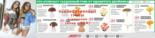спайс Нея