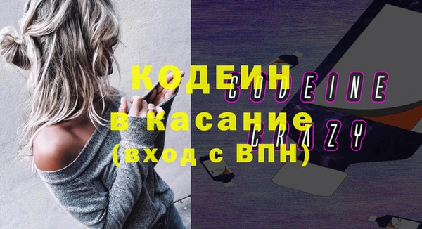 дмт Бикин
