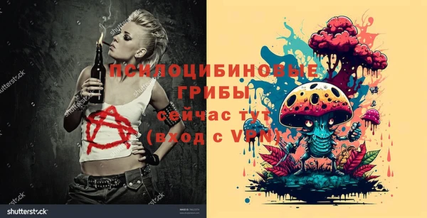 мет Нефтегорск