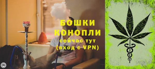 спайс Нея
