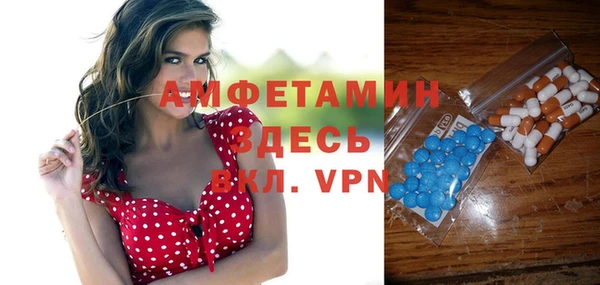 альфа пвп Новодвинск