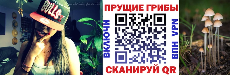 площадка наркотические препараты  Игарка  Псилоцибиновые грибы мицелий  цены  